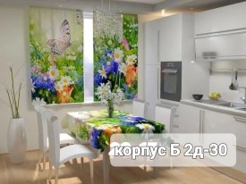 Одежда