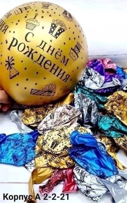 Одежда