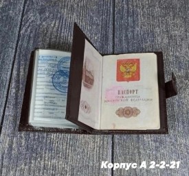Одежда