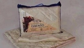 Одежда