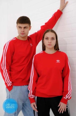 Свитшот