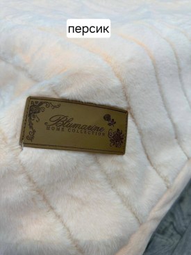 Одежда