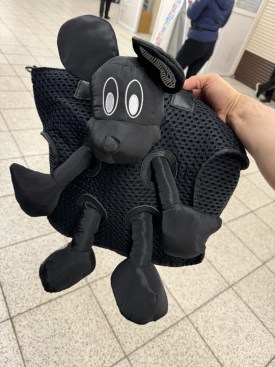 Сумка