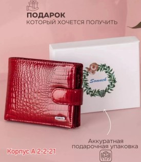 Одежда