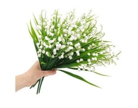 Одежда