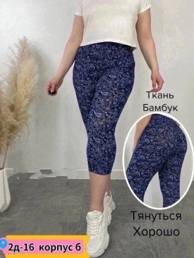 Бриджи