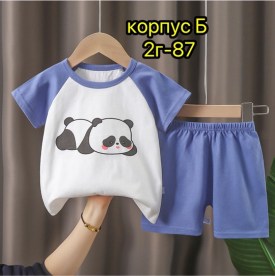 Одежда