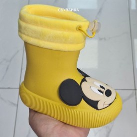 Сапоги