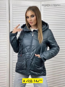 Верхняя одежда