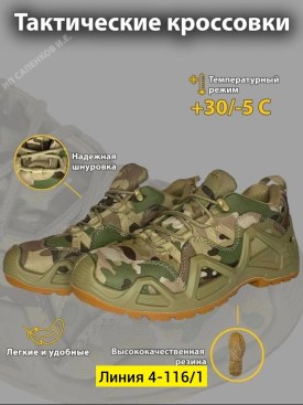 Одежда