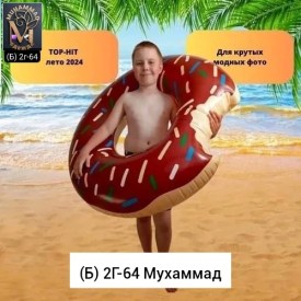 Одежда