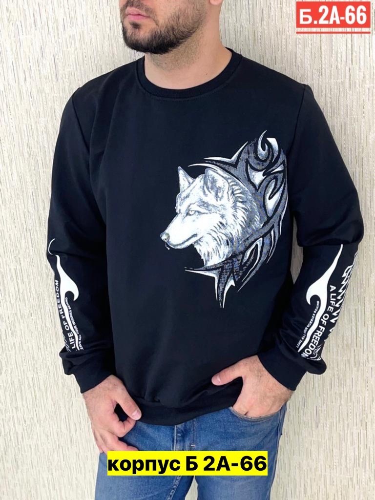 свитшот мужской белый,свитшот мужская,белая кофта мужская,кофта для мужчин,толстовки свитшот