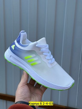 Одежда
