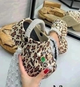 Одежда