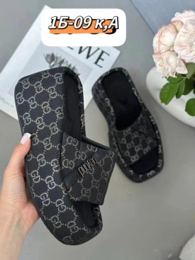 Сланцы