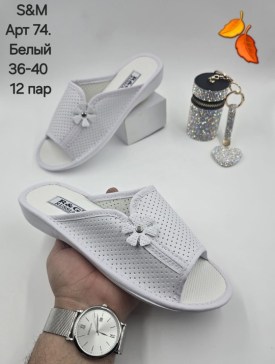 Сланцы