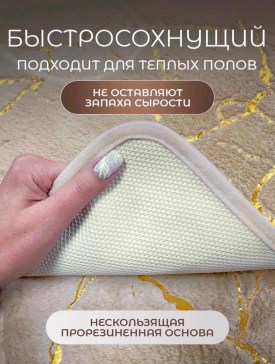 Одежда