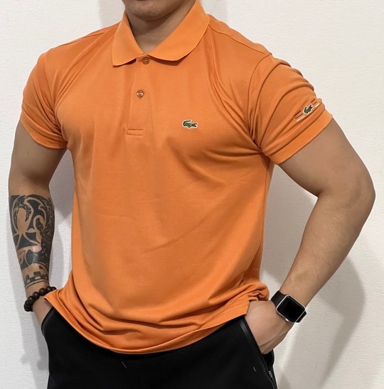 мужская футболка поло,поло lacoste мужское,поло lacoste голубое,голубое поло лакост,лакост polo