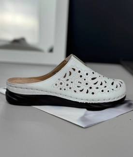 Сланцы
