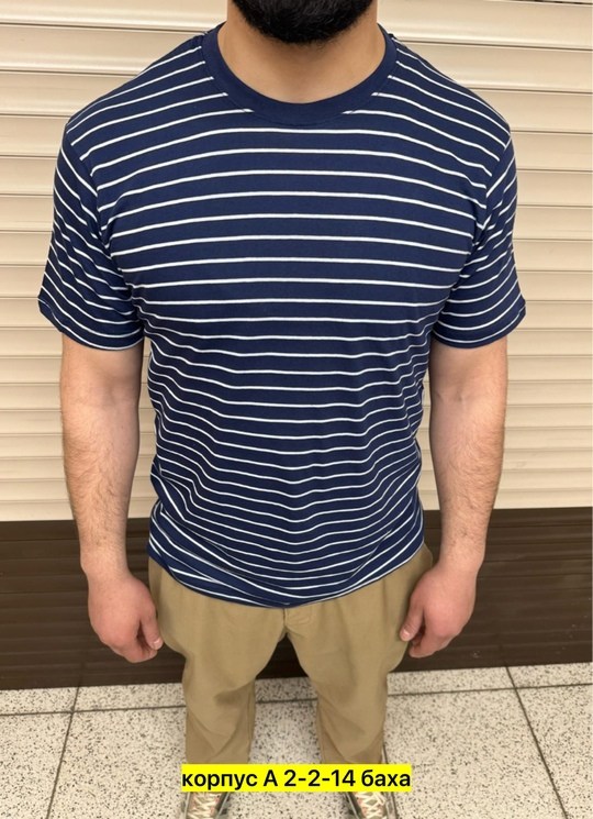 футболки мужские,футболка мужская в полоску,футболка,мужские футболки поло,футболка в полоску