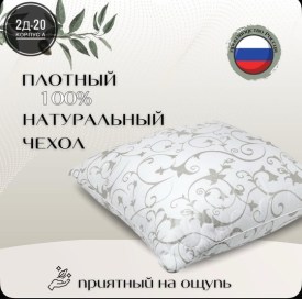 Одежда