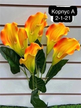 Цветы