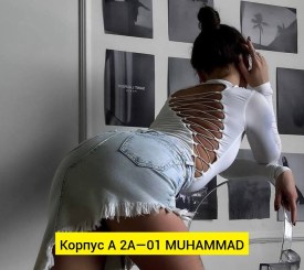 Боди