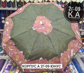 Одежда