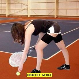 Одежда