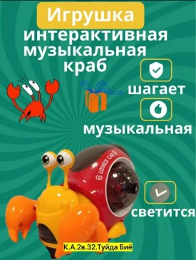 Одежда