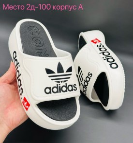 Сланцы