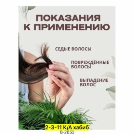 Одежда