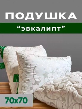 Одежда
