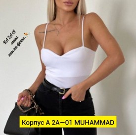 Боди