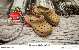 Одежда