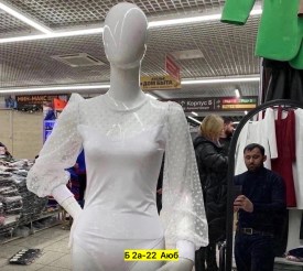 Боди