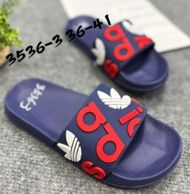 Сланцы