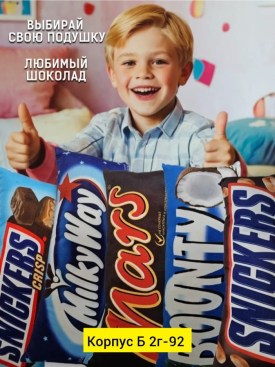 Одежда