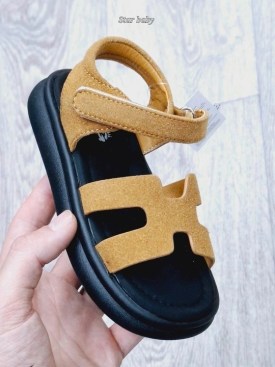 Сланцы