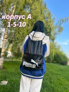 Ремень
