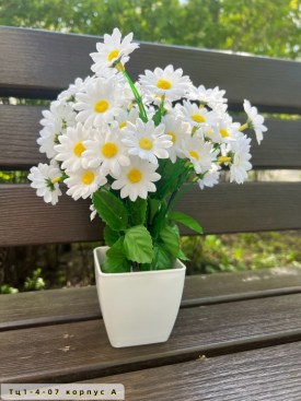 Цветы
