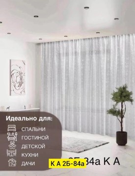 Одежда