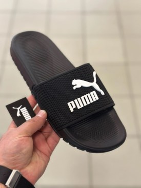 Сланцы