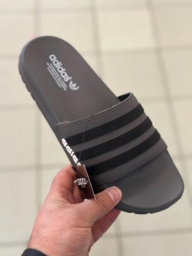 Сланцы