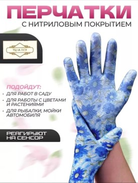 Одежда