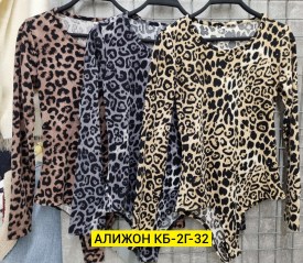 Боди