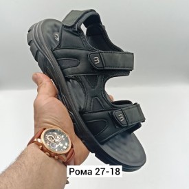 Одежда