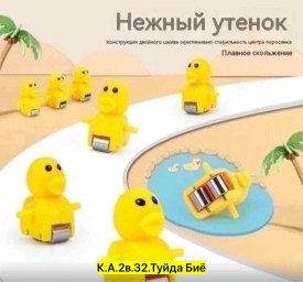 Одежда