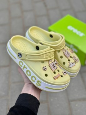 Одежда