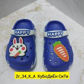 Сланцы